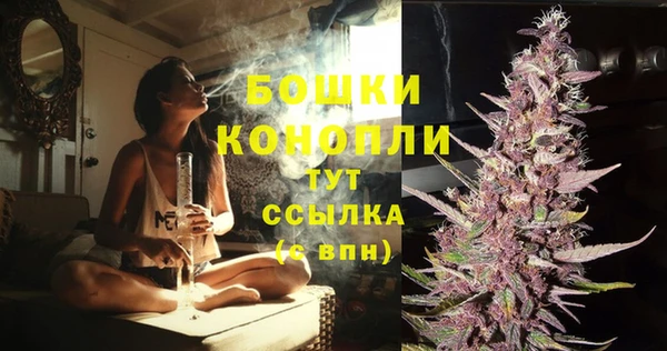 дурь Кодинск