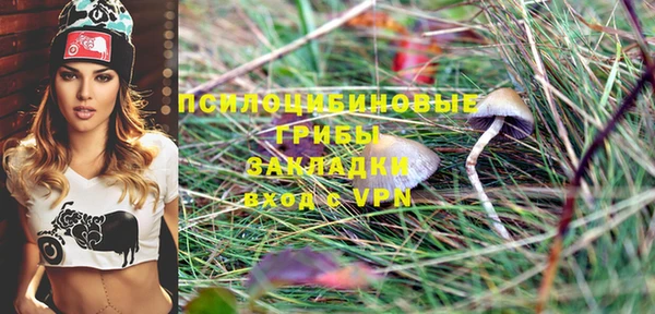 дурь Кодинск