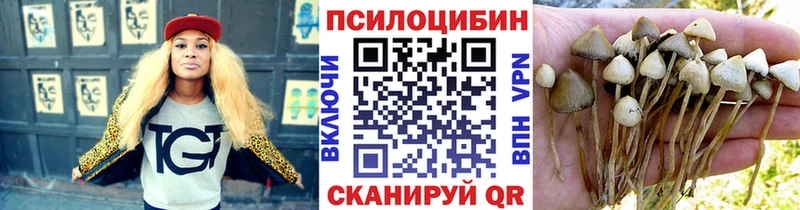 мега зеркало  Окуловка  Галлюциногенные грибы Psilocybine cubensis 
